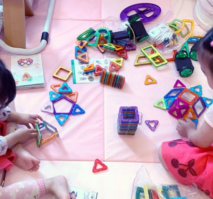 【双子4歳‐知育おもちゃ】マグネットブロック‐亀、犬、お城、車、星などいろいろ作れて図形の勉強にも！幼児向け磁石ブロック