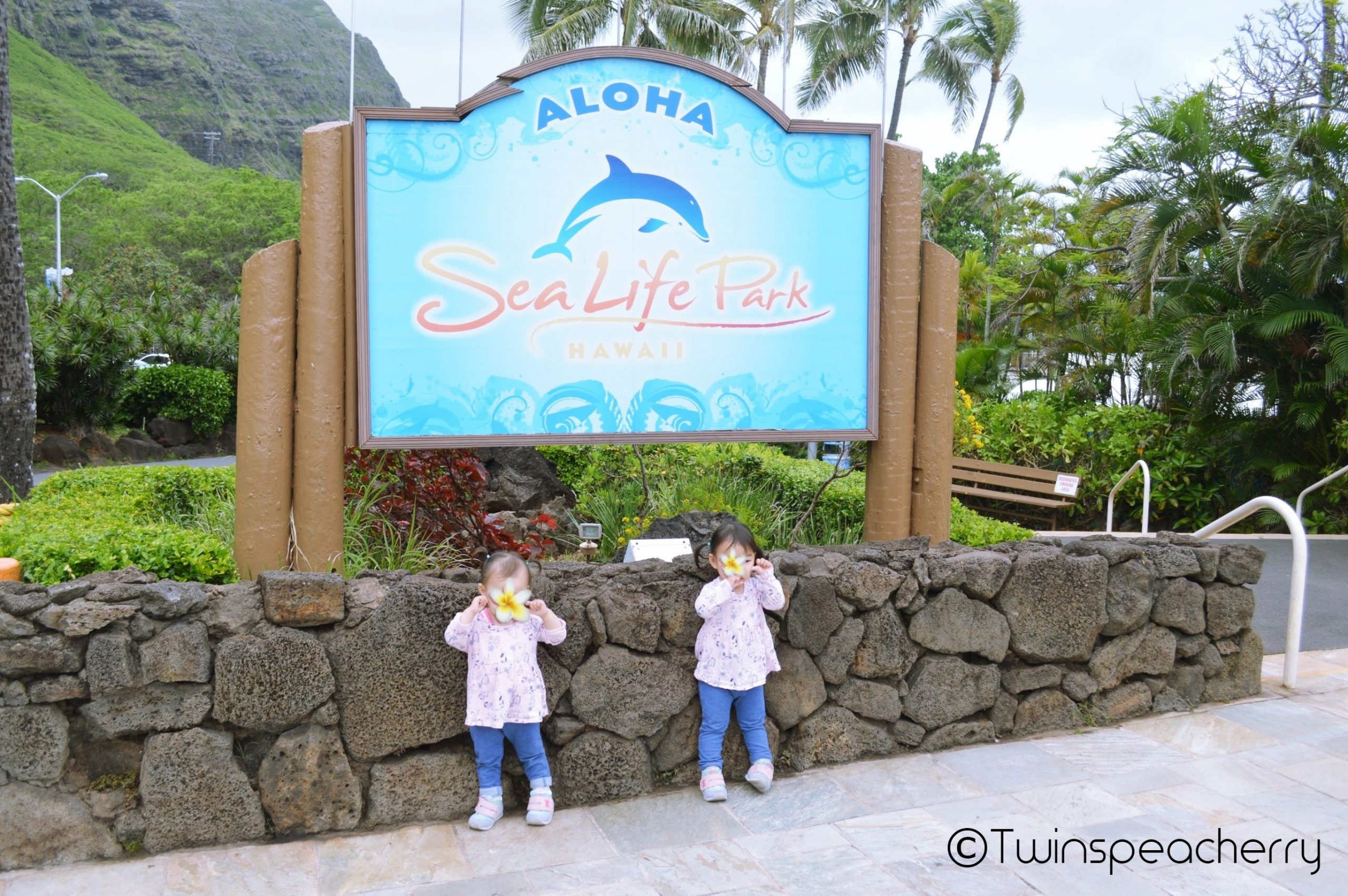 Sea Life Park（シーライフパーク）へ！｜幼児（双子2歳）とハワイ オアフ島 旅行