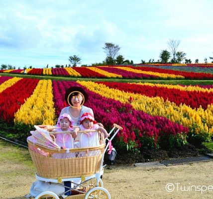 【双子便利グッズ】双子用ベビーカー プスプス乳母車/１人用/双子用双子ベビーカー