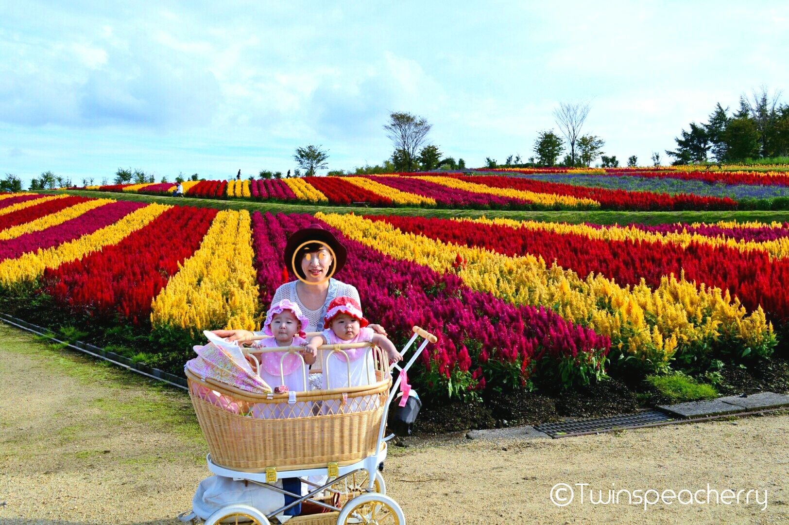 【双子便利グッズ】双子用ベビーカー プスプス乳母車/１人用/双子用双子ベビーカー